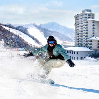 SEOUL CITY SKI TOUR