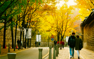 Du lịch Thẩm mỹ kết hợp khám chữa bệnh