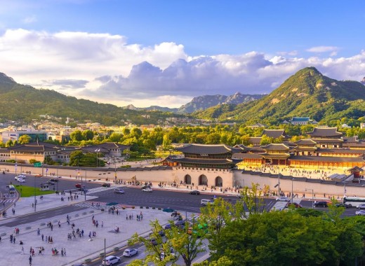 TOUR VIP: SEOUL CITY TOUR MÙA HÈ