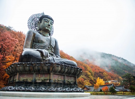 TOUR VIP MÙA THU: SEOUL - GANGWONDO - NAMI