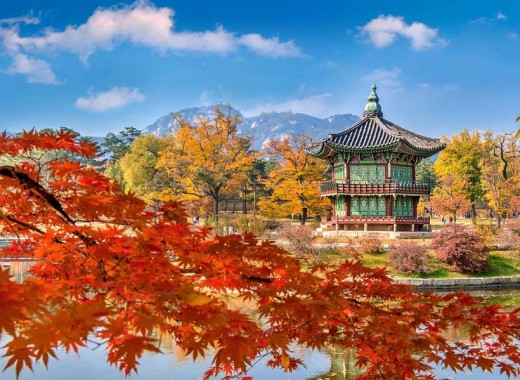 TOUR VIP MÙA THU: SEOUL - GANGWONDO - NAMI
