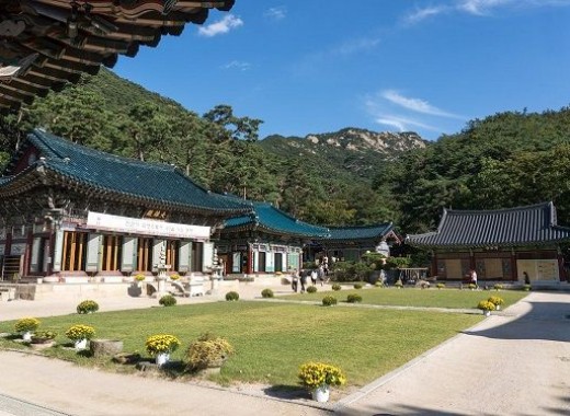TOUR VIP: SEOUL CITY TOUR MÙA HÈ