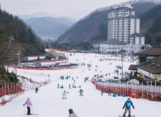 SEOUL CITY SKI TOUR