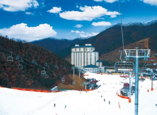 SEOUL CITY SKI TOUR