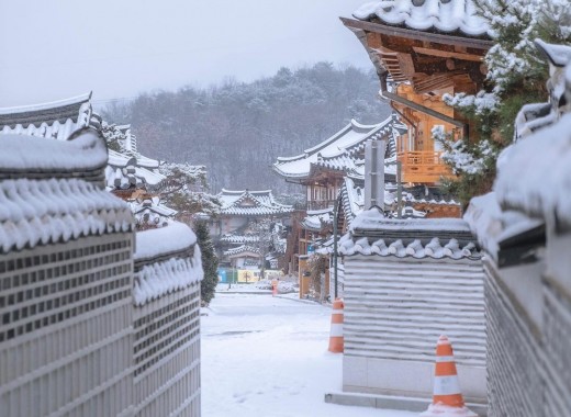 SEOUL CITY SKI TOUR