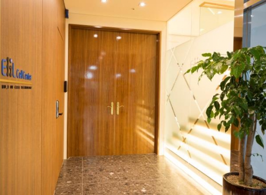 TOUR DU LỊCH THẨM MỸ KẾT HỢP KHÁM CHỮA BỆNH