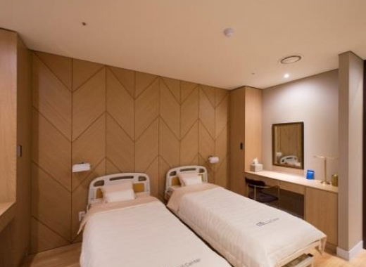TOUR DU LỊCH THẨM MỸ KẾT HỢP KHÁM CHỮA BỆNH