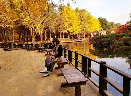 TOUR VIP MÙA THU: SEOUL - GANGWONDO - NAMI