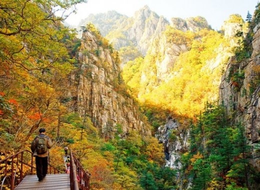 TOUR VIP MÙA THU: SEOUL - GANGWONDO - NAMI