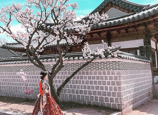 TOUR VIP: SEOUL - NAMI MÙA HOA ANH ĐÀO