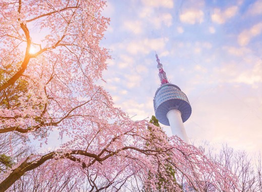 TOUR VIP: SEOUL - NAMI MÙA HOA ANH ĐÀO