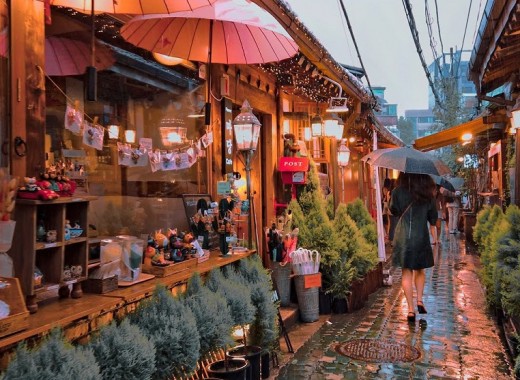 SEOUL CITY SKI TOUR