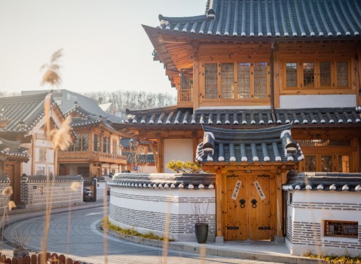 TOUR VIP: SEOUL CITY TOUR MÙA HÈ