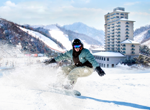 SEOUL CITY SKI TOUR