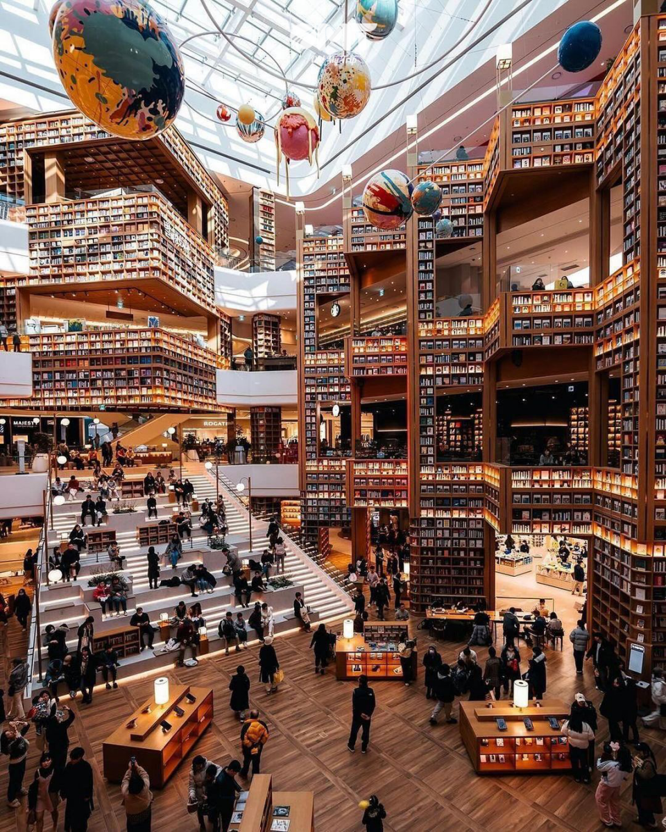 Ảnh 5