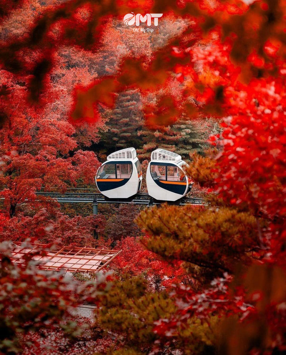 Ảnh 2