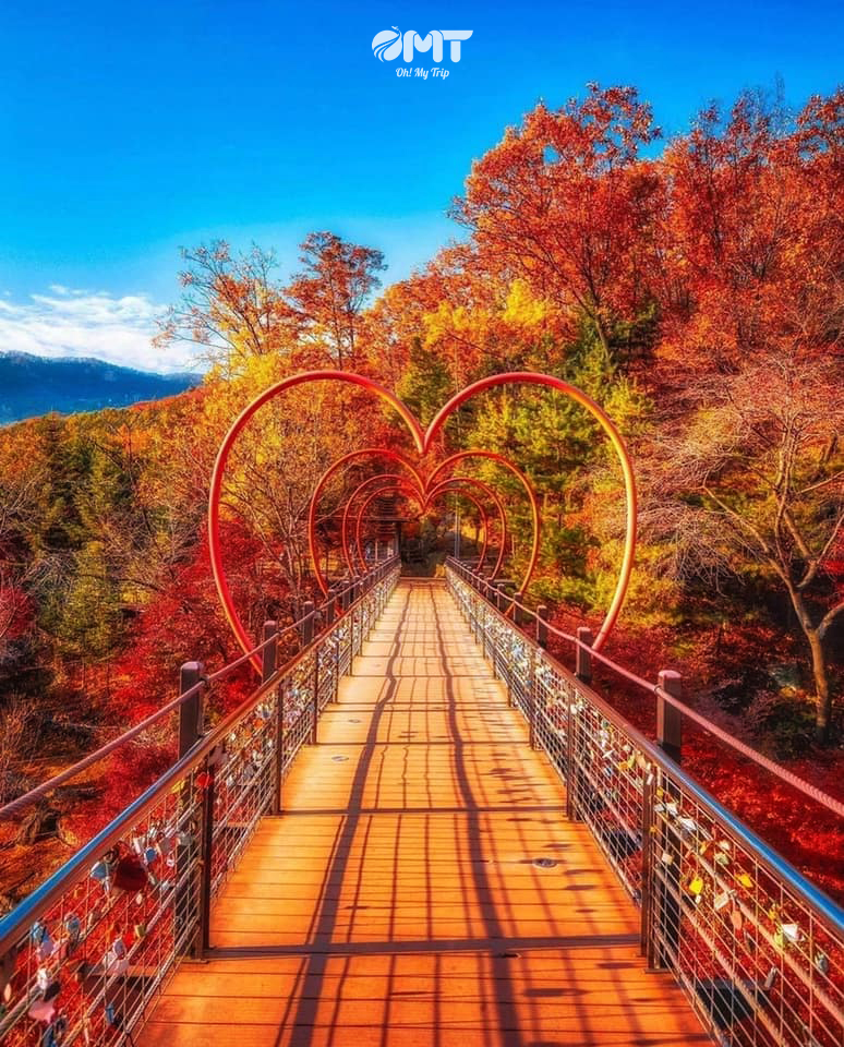 Ảnh 8