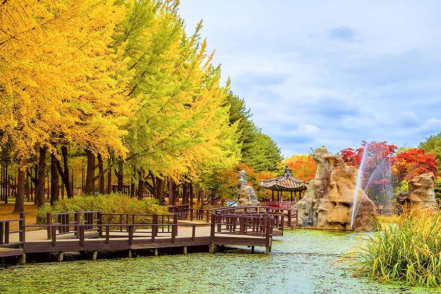 Cảnh lá đỏ mùa thu